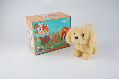 <img src='photo/B/JB069232.jpg'width='400' height='300'>
