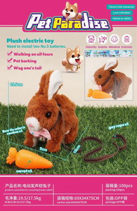 <img src='photo/B/JB073727.jpg'width='400' height='300'>