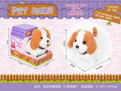 <img src='photo/B/JB078801.JPG'width='400' height='300'>