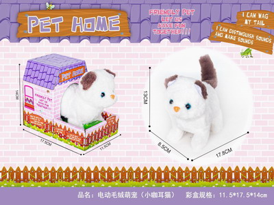 <img src='photo/B/JB078805.JPG'width='400' height='300'>