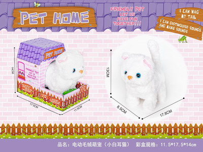 <img src='photo/B/JB078806.JPG'width='400' height='300'>