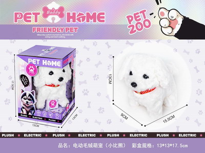 <img src='photo/B/JB078811.JPG'width='400' height='300'>