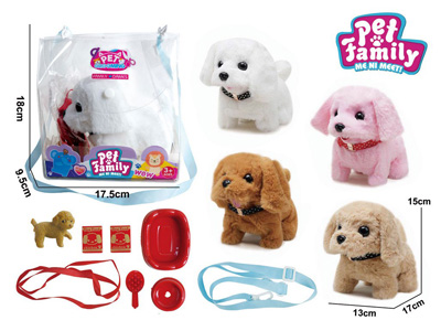 <img src='photo/B/JB081310.jpg'width='400' height='300'>