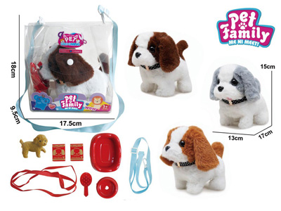 <img src='photo/B/JB081322.jpg'width='400' height='300'>