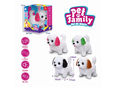 <img src='photo/B/JB081427.jpg'width='400' height='300'>