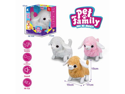 <img src='photo/B/JB081428.jpg'width='400' height='300'>