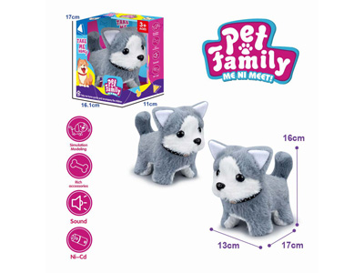 <img src='photo/B/JB081430.jpg'width='400' height='300'>