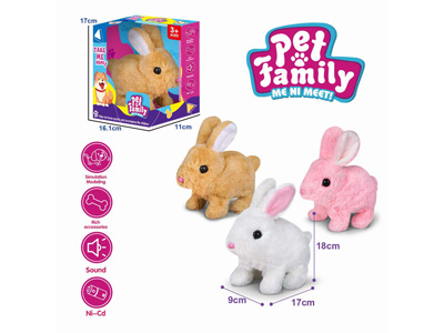 <img src='photo/B/JB081435.jpg'width='400' height='300'>