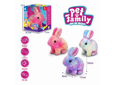 <img src='photo/B/JB081436.jpg'width='400' height='300'>