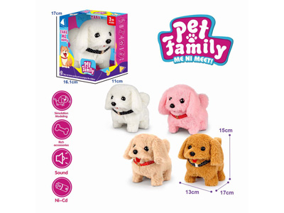 <img src='photo/B/JB081437.jpg'width='400' height='300'>