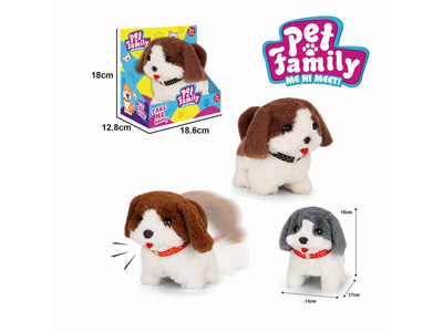 <img src='photo/B/JB081446.jpg'width='400' height='300'>