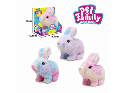 <img src='photo/B/JB081448.jpg'width='400' height='300'>