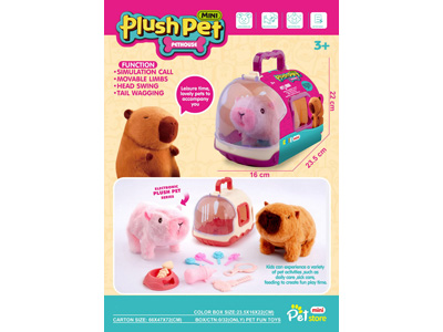 <img src='photo/B/JB081622.jpg'width='400' height='300'>