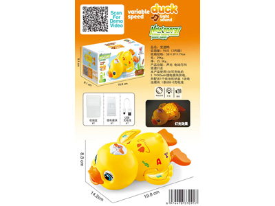 <img src='photo/B/JB081933.jpg'width='400' height='300'>