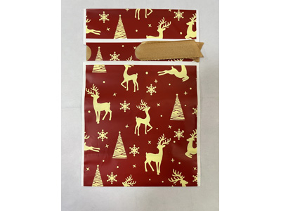 <img src='photo/J/JJ016224.jpg'width='400' height='300'>