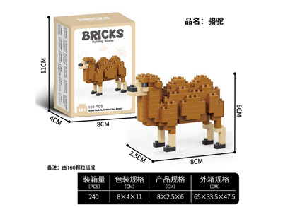 <img src='photo/K/JK194956.jpg'width='400' height='300'>