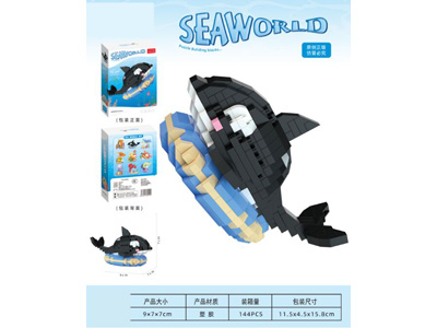 <img src='photo/K/JK199646.jpg'width='400' height='300'>