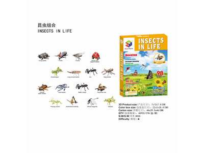 <img src='photo/K/JK200134.jpg'width='400' height='300'>