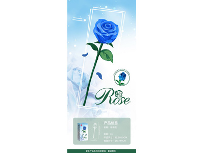 <img src='photo/K/JK200509.jpg'width='400' height='300'>