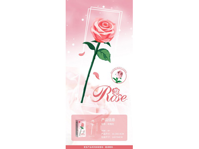 <img src='photo/K/JK200510.jpg'width='400' height='300'>