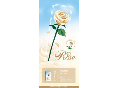 <img src='photo/K/JK200511.jpg'width='400' height='300'>