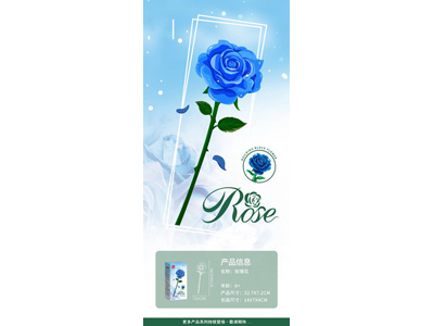 <img src='photo/K/JK200513.jpg'width='400' height='300'>