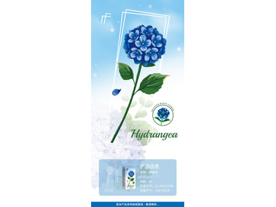 <img src='photo/K/JK200518.jpg'width='400' height='300'>