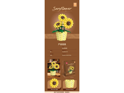 <img src='photo/K/JK200519.jpg'width='400' height='300'>