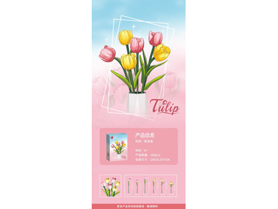 <img src='photo/K/JK200520.jpg'width='400' height='300'>