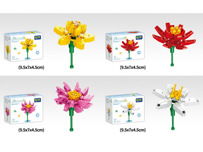 <img src='photo/K/JK202020.jpg'width='400' height='300'>