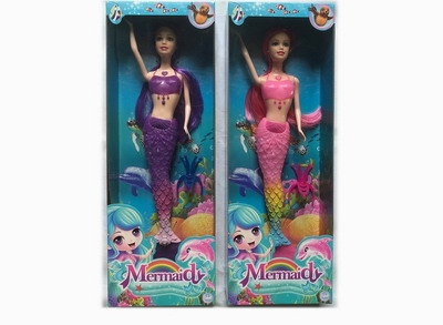 <img src='photo/O/JO161977.jpg'width='400' height='300'>