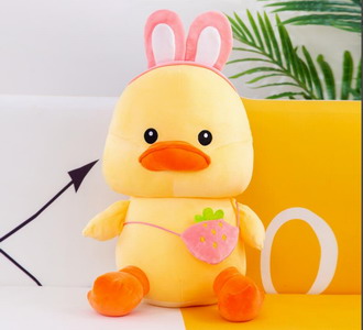 <img src='photo/O/JO165529.jpg'width='400' height='300'>