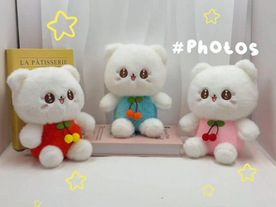 <img src='photo/O/JO221224.jpg'width='400' height='300'>