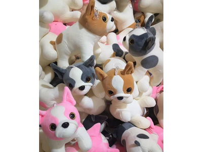 <img src='photo/O/JO221254.jpg'width='400' height='300'>