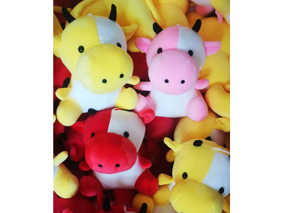 <img src='photo/O/JO221255.jpg'width='400' height='300'>