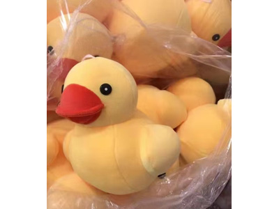 <img src='photo/O/JO221258.jpg'width='400' height='300'>