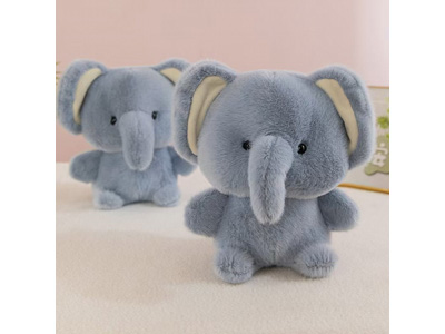 <img src='photo/O/JO221281.jpg'width='400' height='300'>