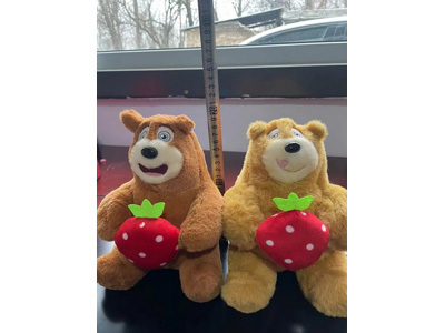 <img src='photo/O/JO223608.jpg'width='400' height='300'>