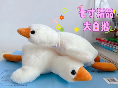 <img src='photo/O/JO223640.jpg'width='400' height='300'>