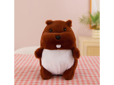 <img src='photo/O/JO223673.jpg'width='400' height='300'>