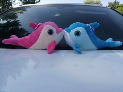 <img src='photo/O/JO223695.jpg'width='400' height='300'>