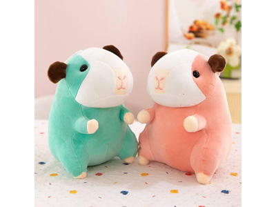 <img src='photo/O/JO223716.jpg'width='400' height='300'>