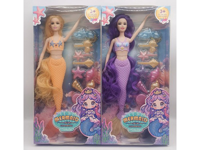 <img src='photo/O/JO224728.jpg'width='400' height='300'>