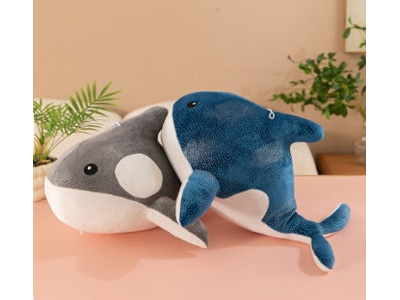 <img src='photo/O/JO229816.jpg'width='400' height='300'>