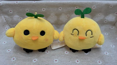 <img src='photo/P/JP003454.jpg'width='400' height='300'>