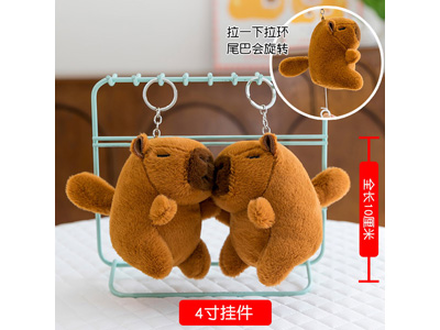 <img src='photo/P/JP006653.jpg'width='400' height='300'>