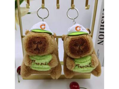 <img src='photo/P/JP006759.jpg'width='400' height='300'>