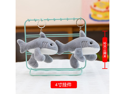 <img src='photo/P/JP006800.jpg'width='400' height='300'>