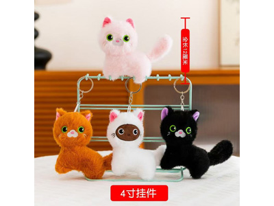 <img src='photo/P/JP006808.jpg'width='400' height='300'>