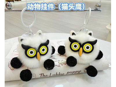 <img src='photo/P/JP006866.jpg'width='400' height='300'>